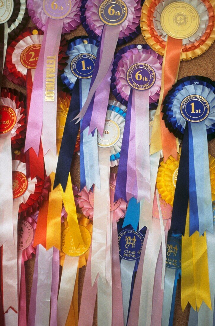 Display of equestrian ribbon rosettes