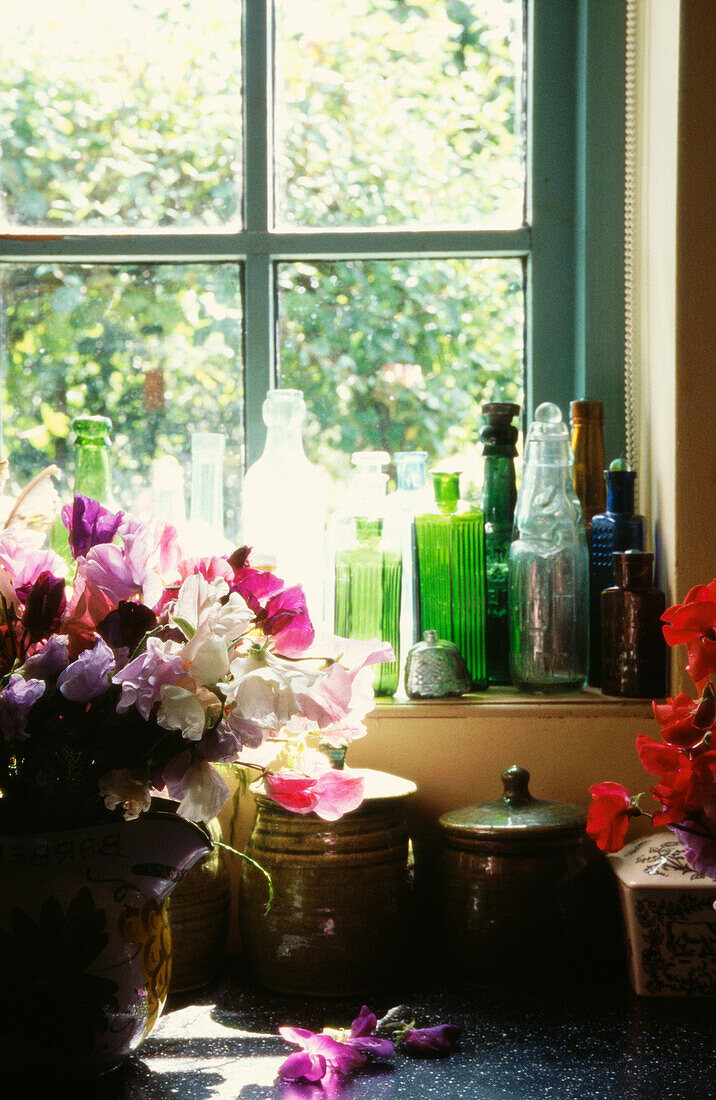 Unverkleidetes Fenster mit Flaschensammlung und Blick auf den Garten
