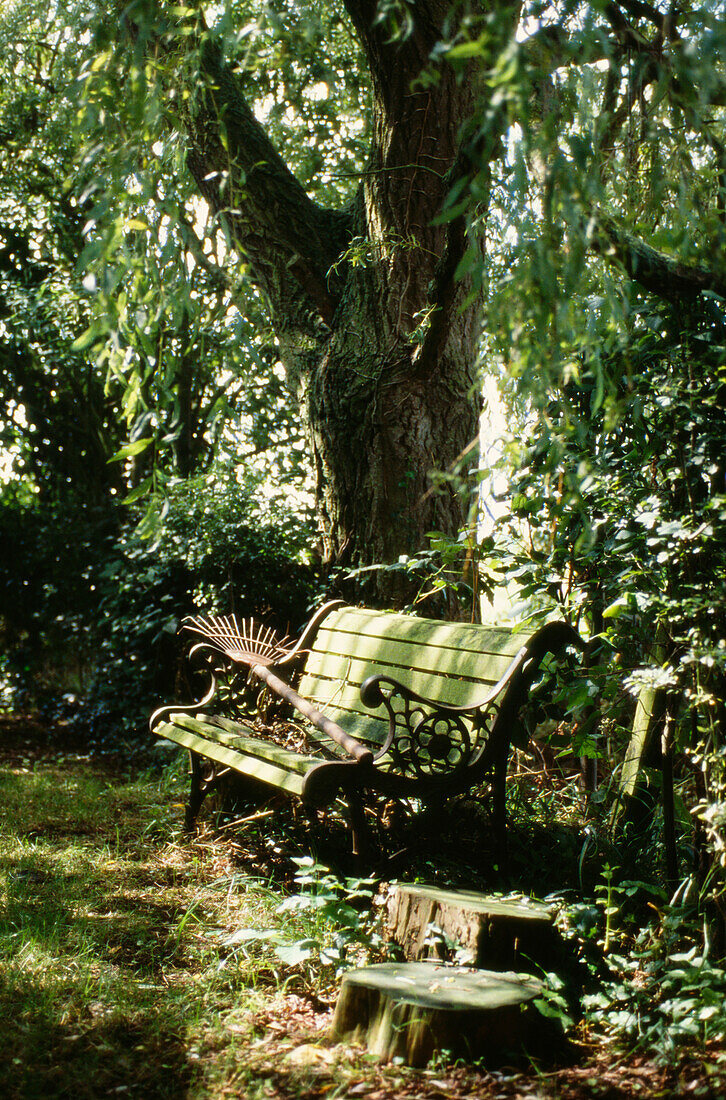 Harke auf einer Sitzbank im Garten in Suffolk