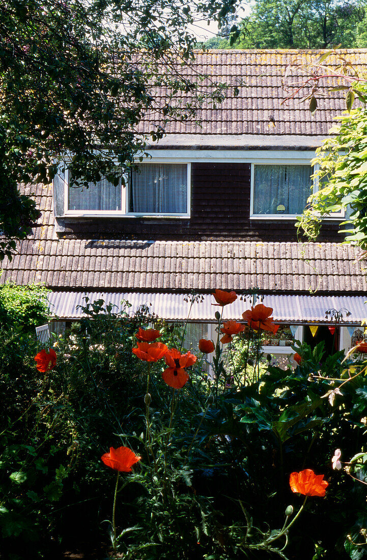 Blick durch die Gartenlaube auf die Rückseite des Hauses