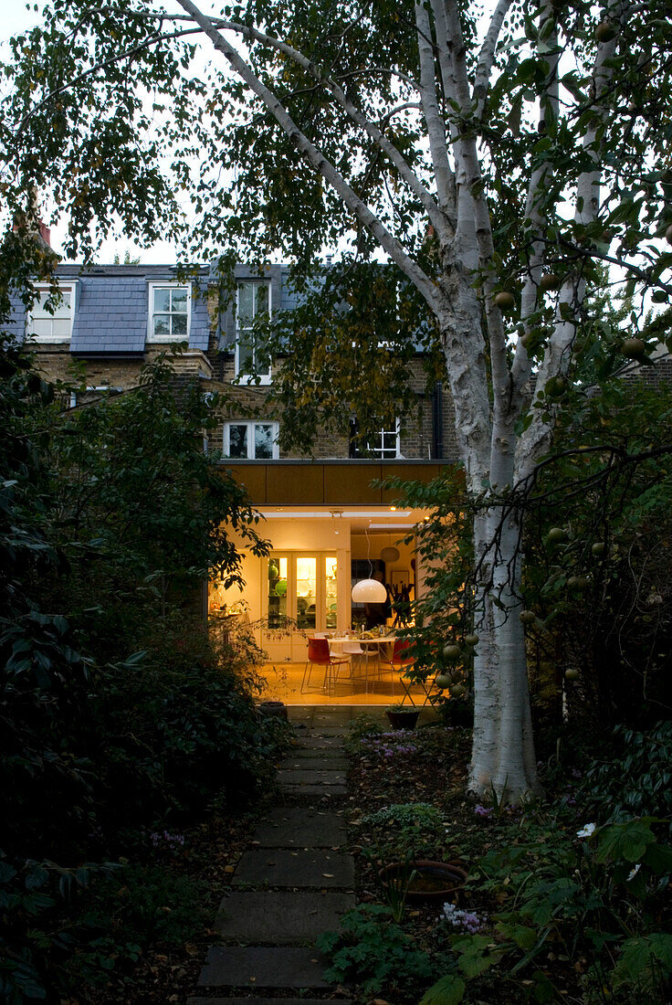 Path and tree leading to London kitchen extension