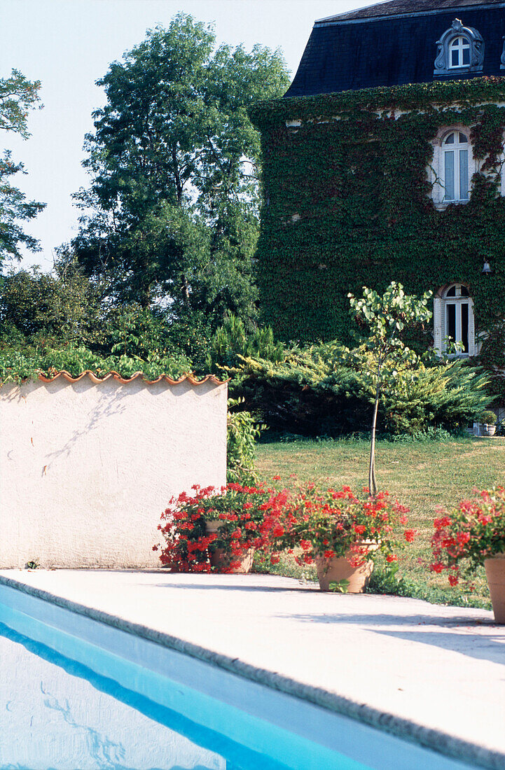 Blühende Topfpflanzen am Pool eines mit Efeu bewachsenen französischen Hauses