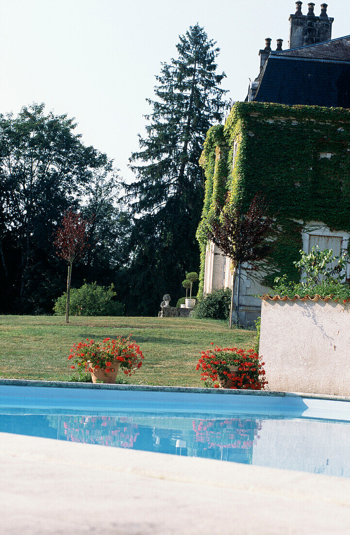 Blühende Topfpflanzen am Pool eines mit Efeu verkleideten französischen Hauses