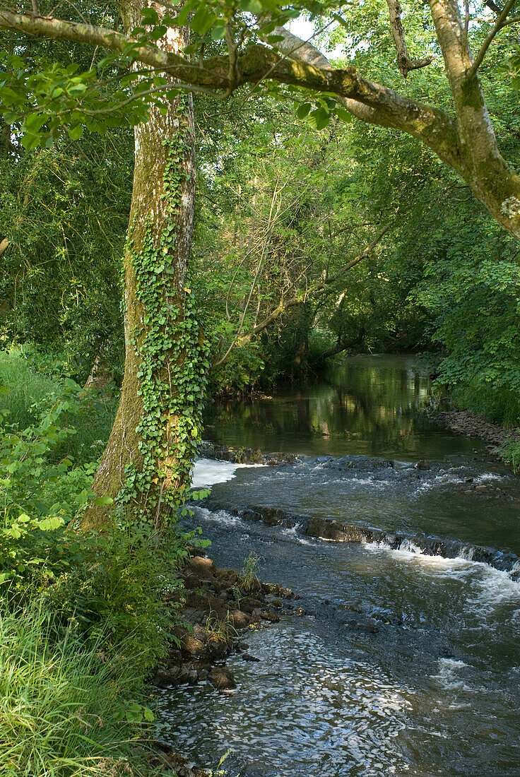 Fluss fließt durch die Landschaft von Devon