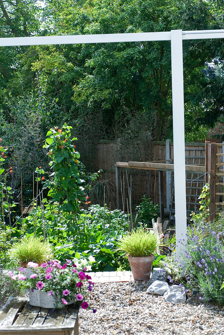 Hinterer Garten mit Gemüsebeet und Kiesfläche mit Petunien und Lavendel