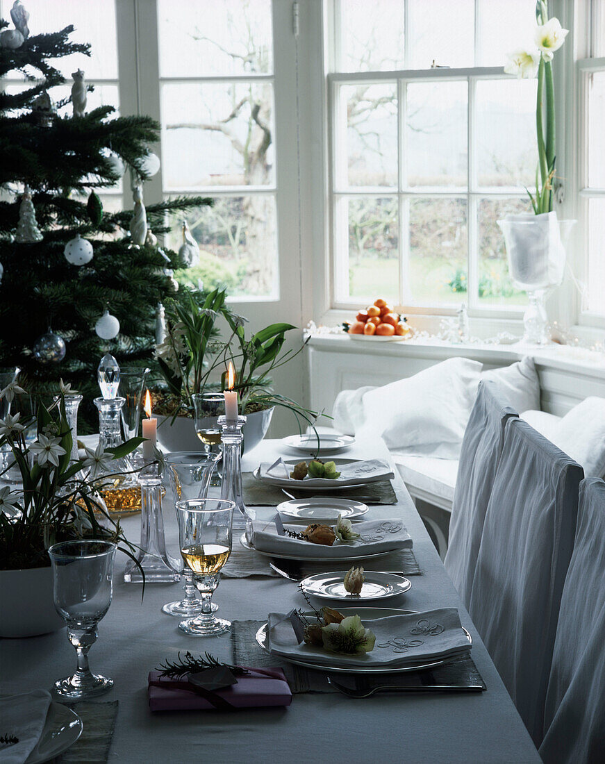 Dining table with place settings and Christmas tree behind