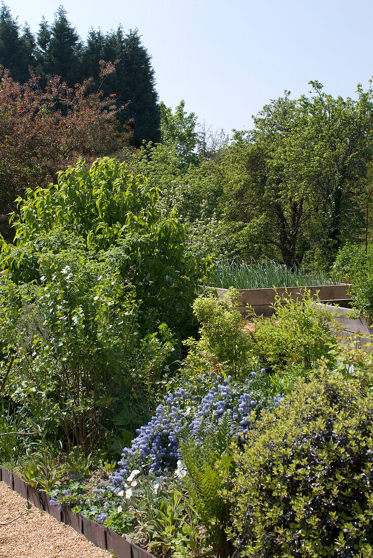 Garden with flourishing flowers and footpath from smooth stones