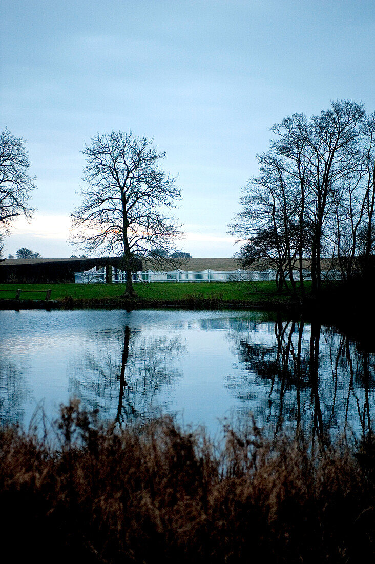 Winterbäume, die sich im stillen Wasser des Odense-Sees spiegeln Dänemark