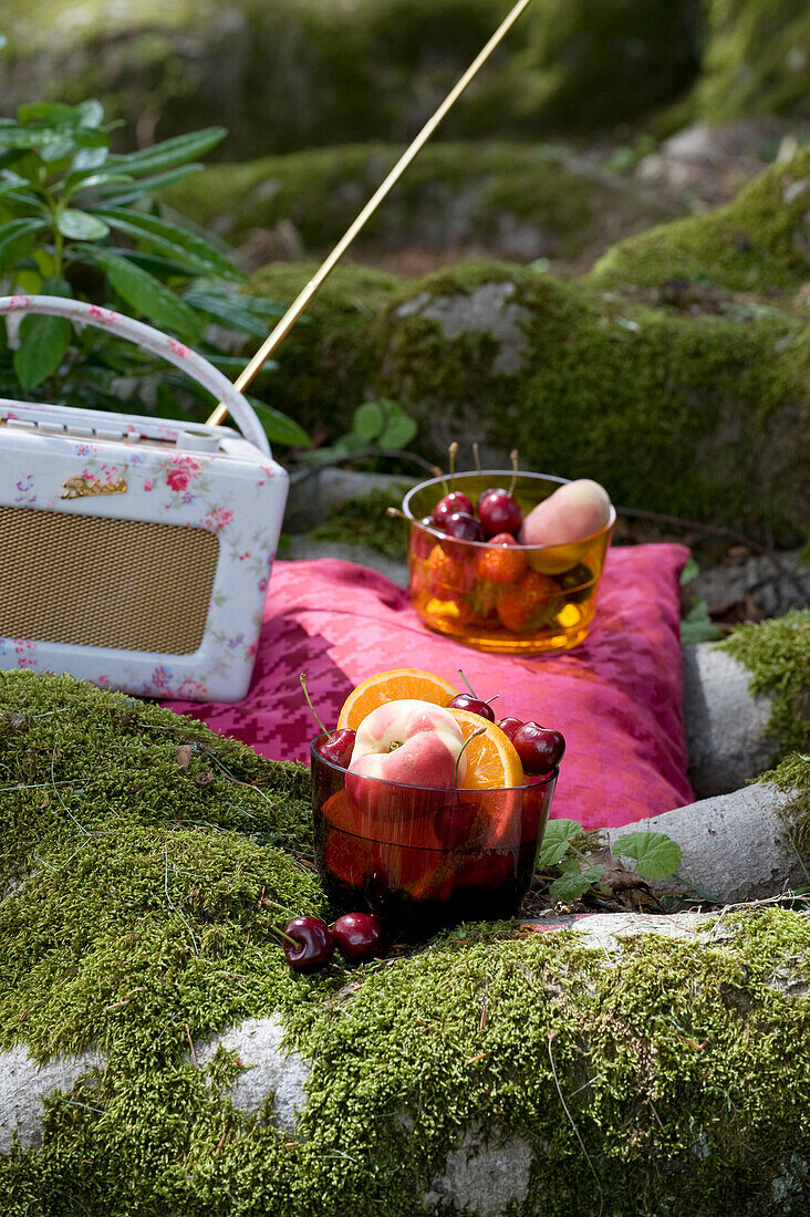 Bowls with fruits and old fashioned radio