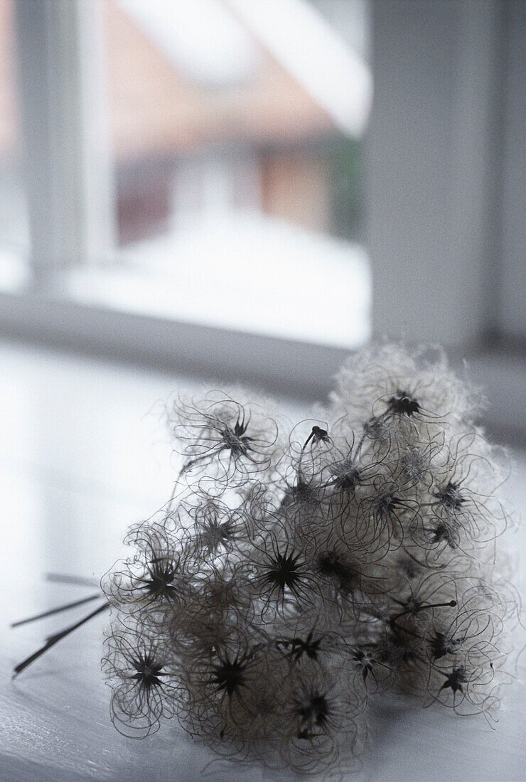 Trockenblumenstrauß auf der Fensterbank
