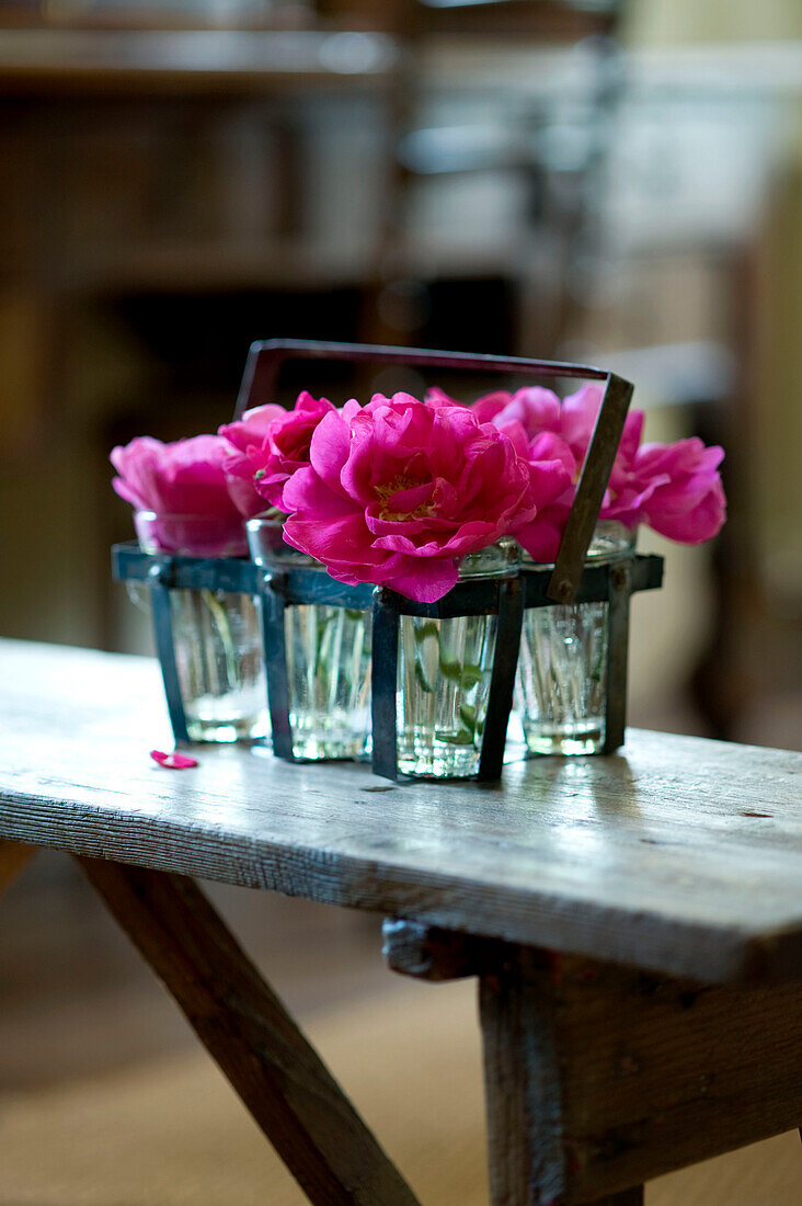 Rosa Blumen in einem Metalltablett mit Henkel