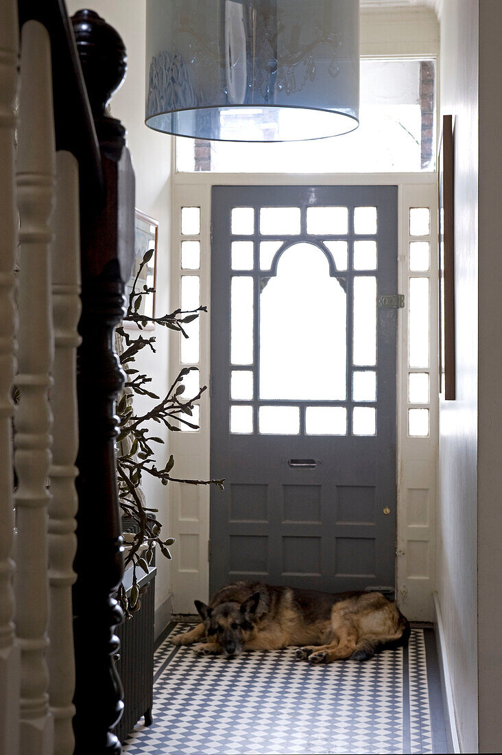 Eingangshalle und Eingangstür eines viktorianischen Hauses mit einem Hund, der neben der Tür liegt