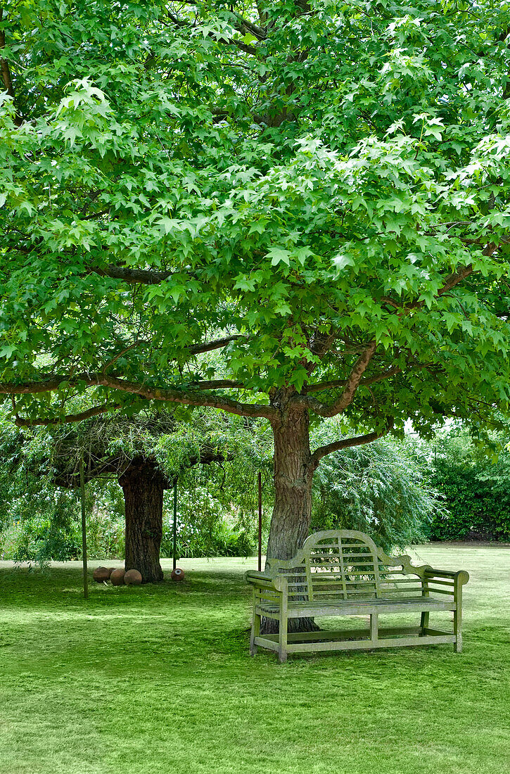 Holzbank unter einem Baum auf dem Gelände eines Hauses in Canterbury (England)