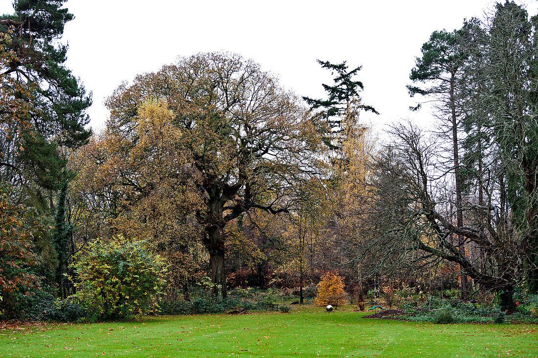 Winterbäume auf dem Gelände des Landhauses Forest Row, Sussex, England, UK