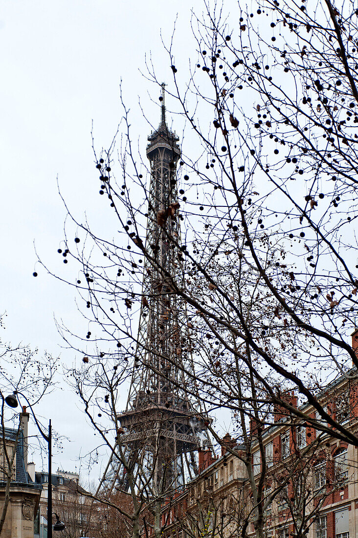 Niedriger Blickwinkel auf den Eiffelturm im Winter, Paris, Frankreich