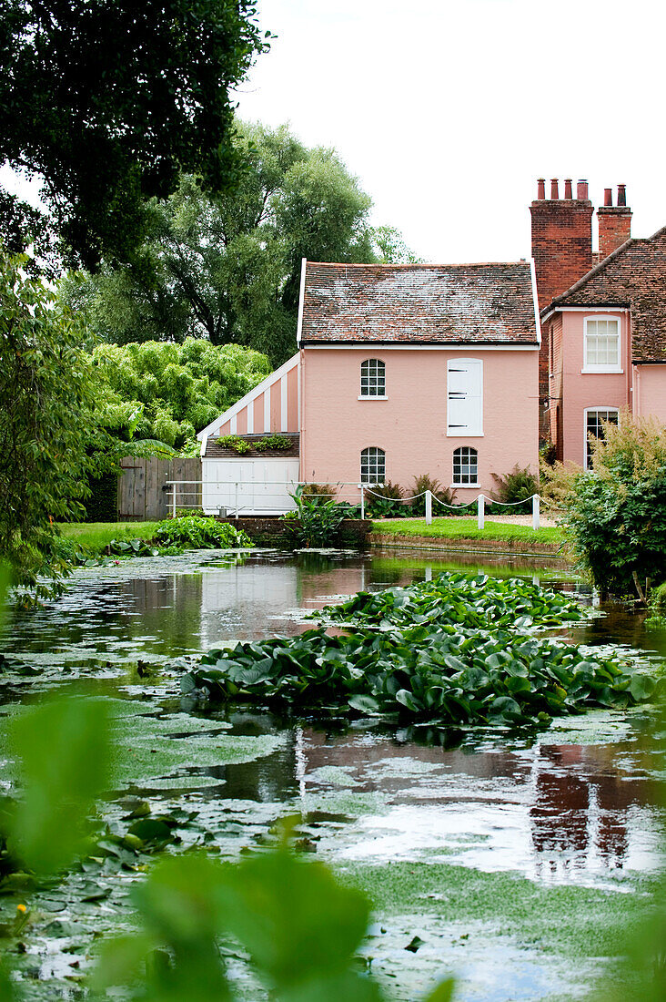 Pflanzen wachsen in einem Teich mit rosa gestrichener Fassade in einem Haus in Suffolk, England, Vereinigtes Königreich