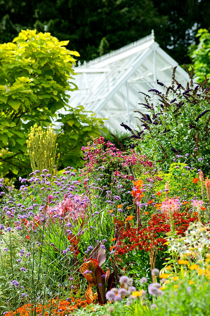 Farbenfroher Garten mit Gewächshaus auf dem Gelände eines Landhauses in Suffolk (England)