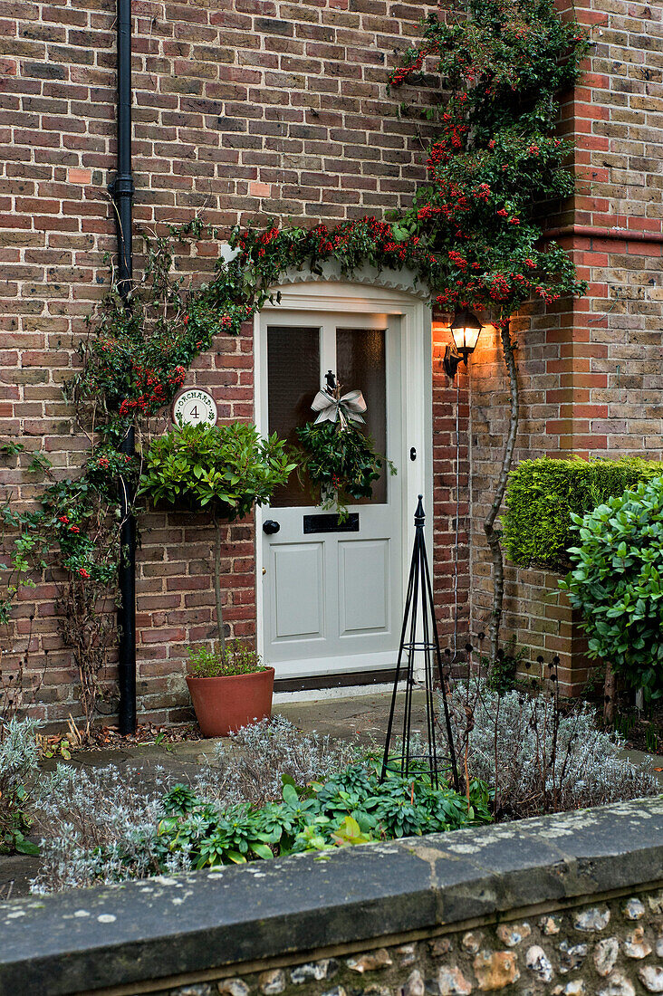 Schlingpflanze mit roten Beeren über der Eingangstür eines Hauses in Walberton, West Sussex, England, UK