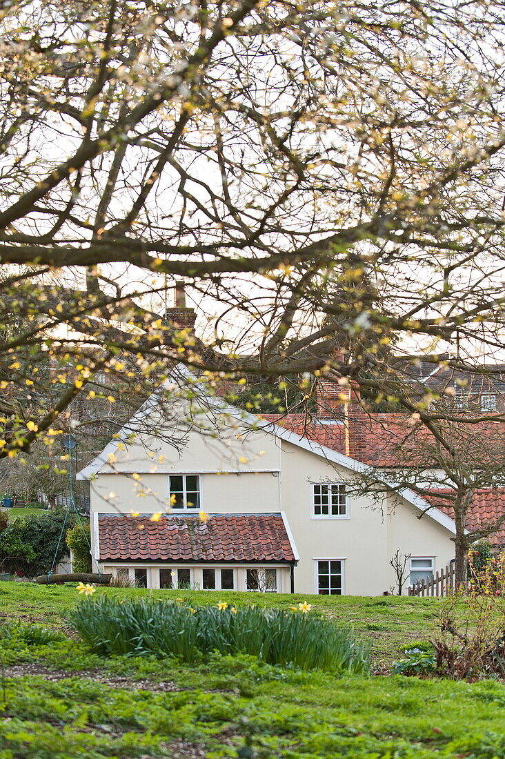 Freistehendes Haus in Suffolk durch die Äste eines Baumes im Garten gesehen, England, UK
