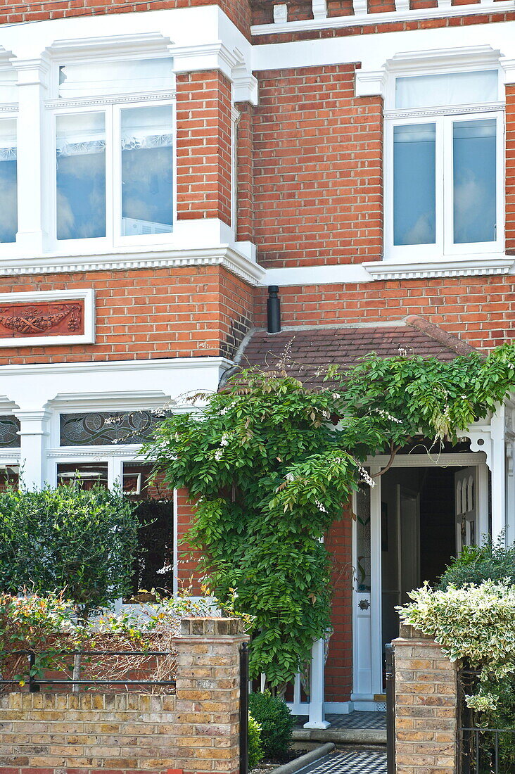 Climbing plant on porchway of Middlesex brick terraced house, London, England, UK