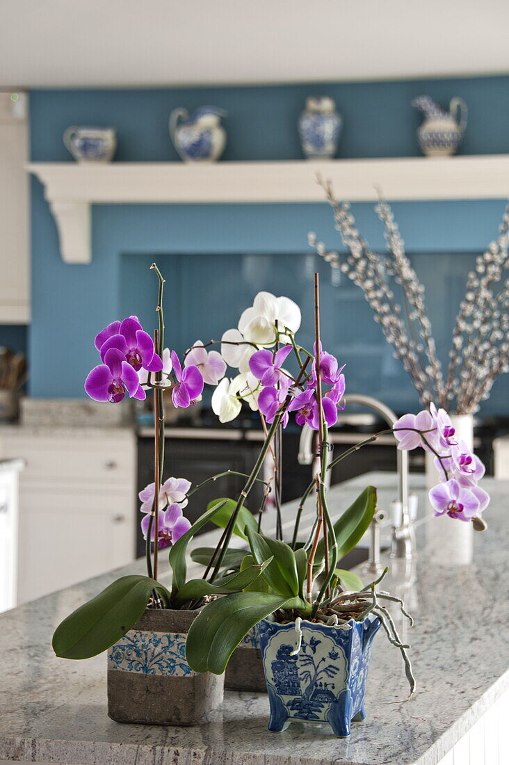Orchideen auf einer Marmorarbeitsplatte in der Küche eines modernen Landhauses in Suffolk, England, UK