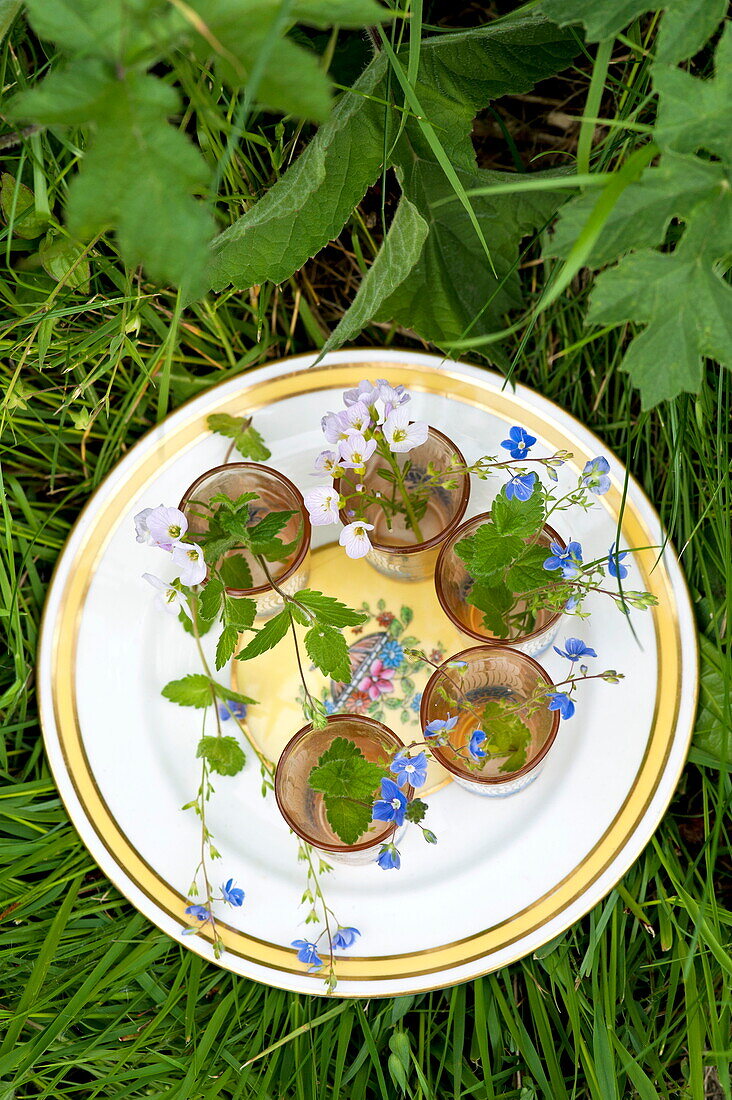 Wildflowers and Forget-me-not (Myosotis) in glasses on plate in Brecon, Powys, Wales, UK