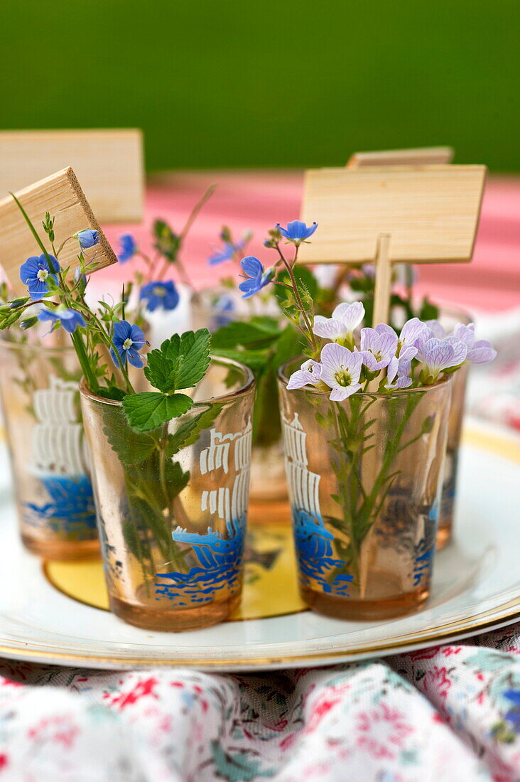 Wildflowers and Forget-me-not (Myosotis) in glasses on plate in Brecon, Powys, Wales, UK