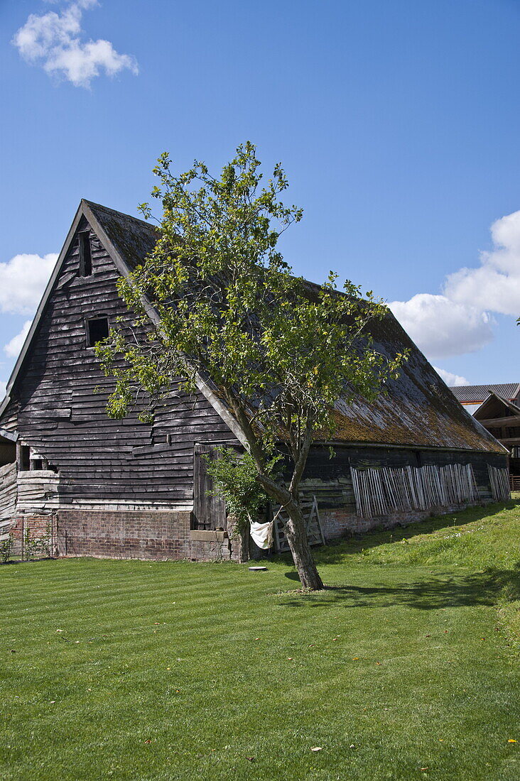 Begrüntes Äußeres einer heruntergekommenen Scheune in Suffolk, England, Vereinigtes Königreich