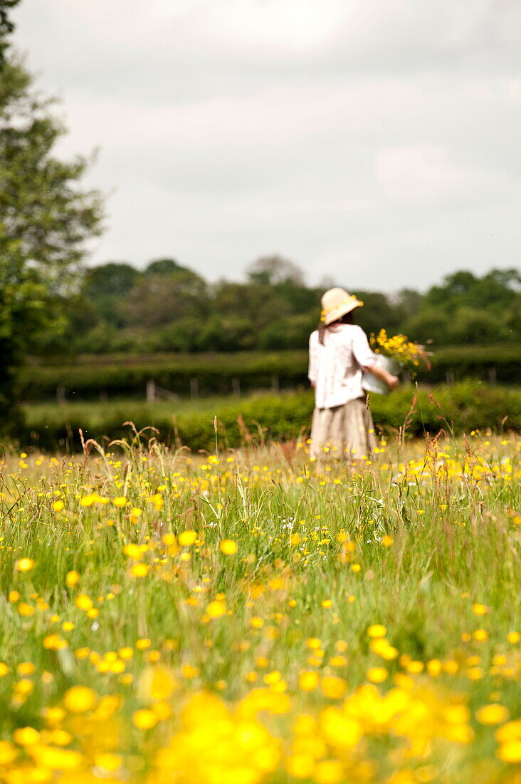 Frau steht allein in einem Feld mit Hahnenfuß (Ranunculus), Brecon, Powys, Wales, UK