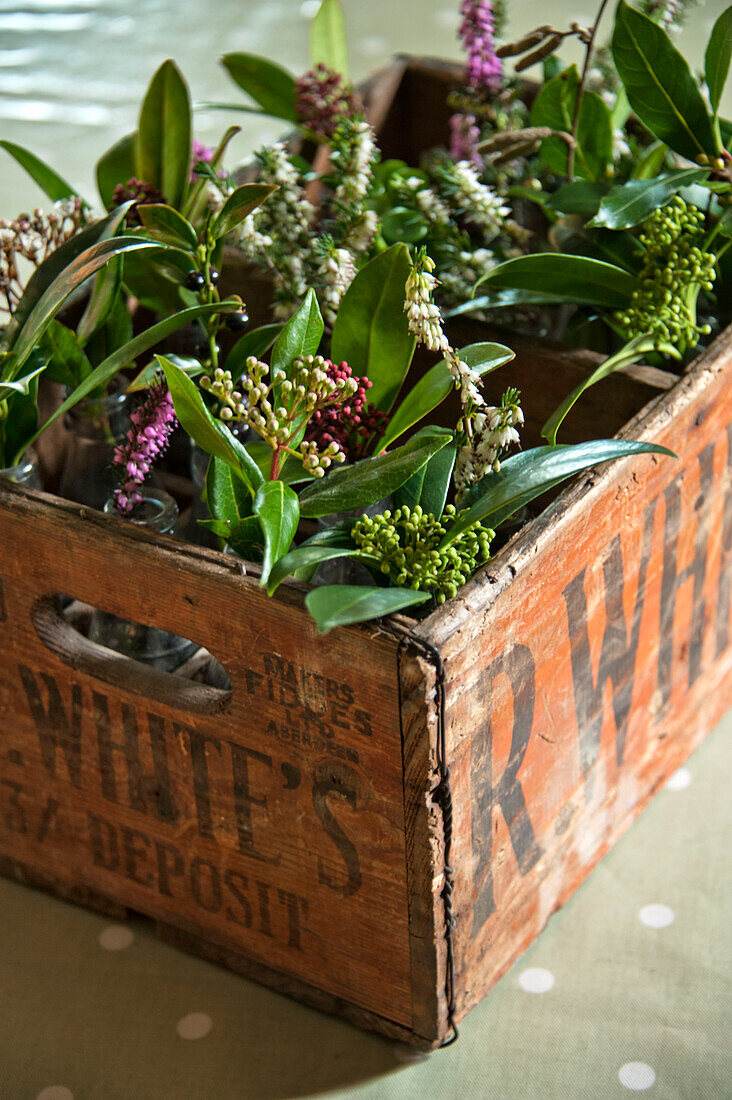 Houseplants in wooden crate in Sherford barn conversion Devon UK