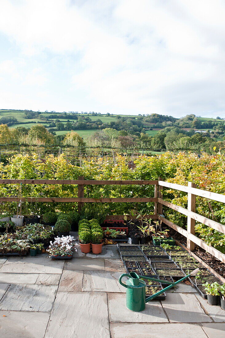Gepflasterte Terrasse mit Zaun in ländlichem Garten, Blagdon, Somerset, England, UK