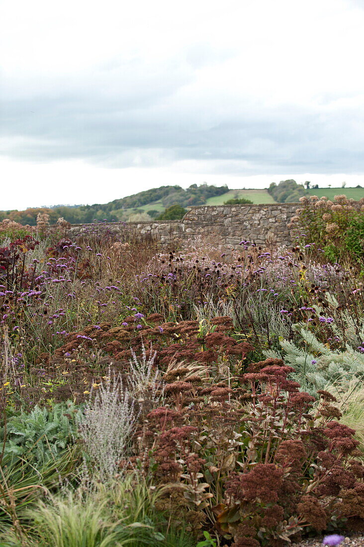 Ländlicher Garten mit Steinmauer in Blagdon, Somerset, England, UK