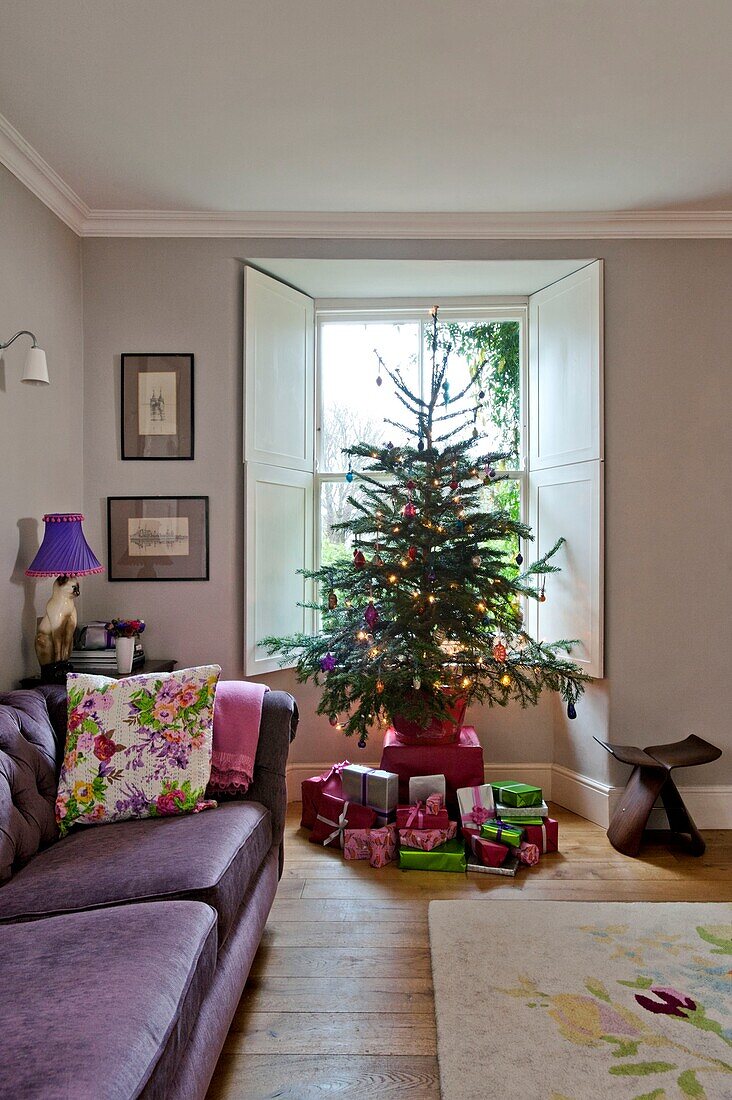 Fliederfarbenes Sofa mit Weihnachtsbaum im Fenster eines Familienhauses in Penzance Cornwall England UK