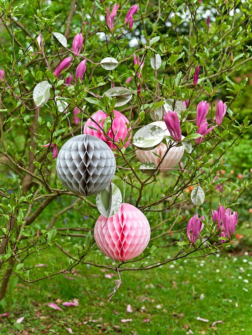 Papiergeschnittene Osterdekorationen hängen in einem Magnolienbaum im Garten in Sussex, England