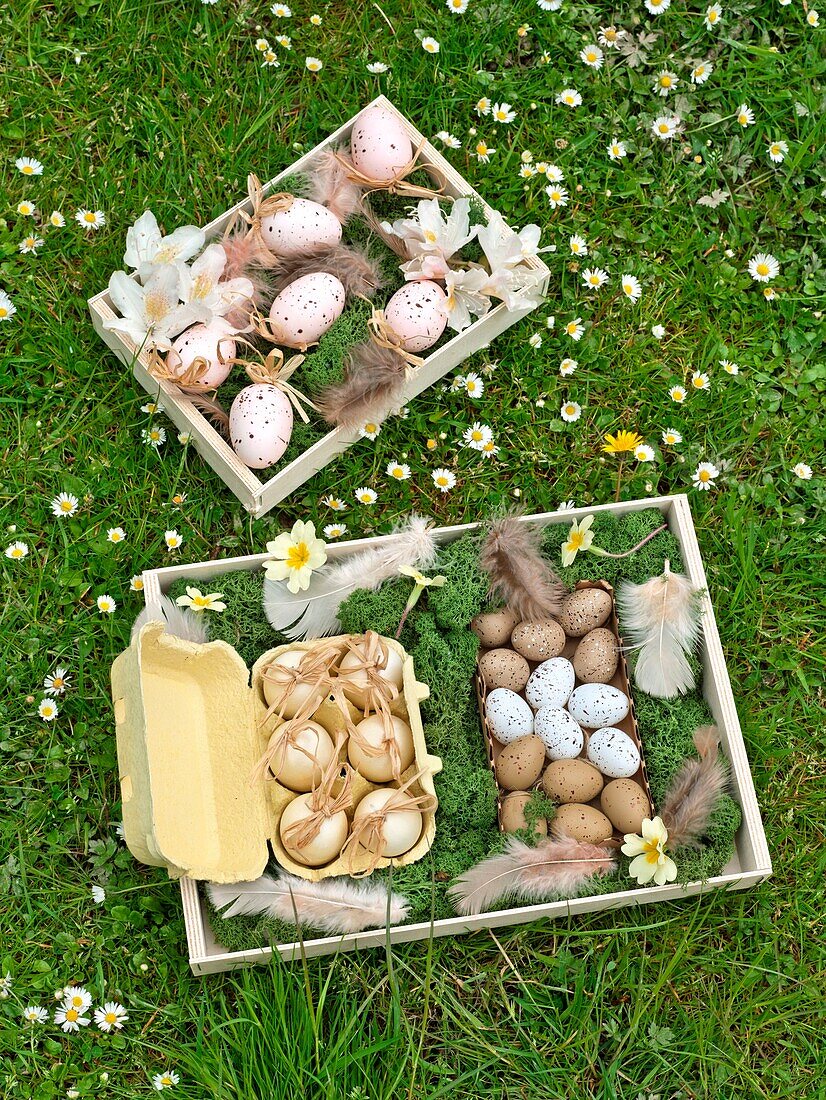 Easter eggs in wooden crates Sussex garden England UK