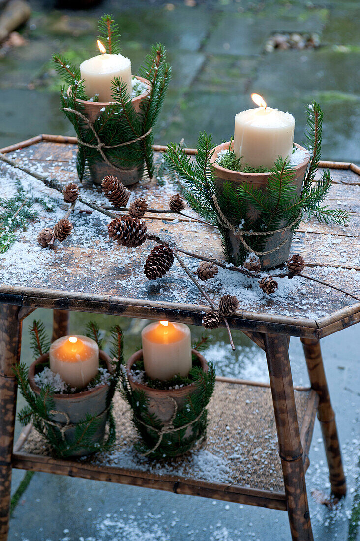 Terracotta pots given a festive makeover by wrapping spruce foliage around the outside of each pot