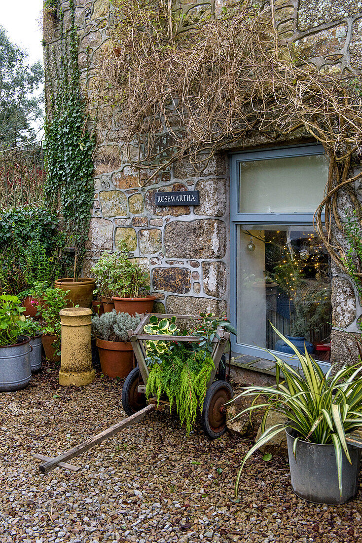 Gartenkarre auf Kiesweg mit Kübelpflanzen vor dem Fenster eines Hauses in Penzance, Cornwall, UK