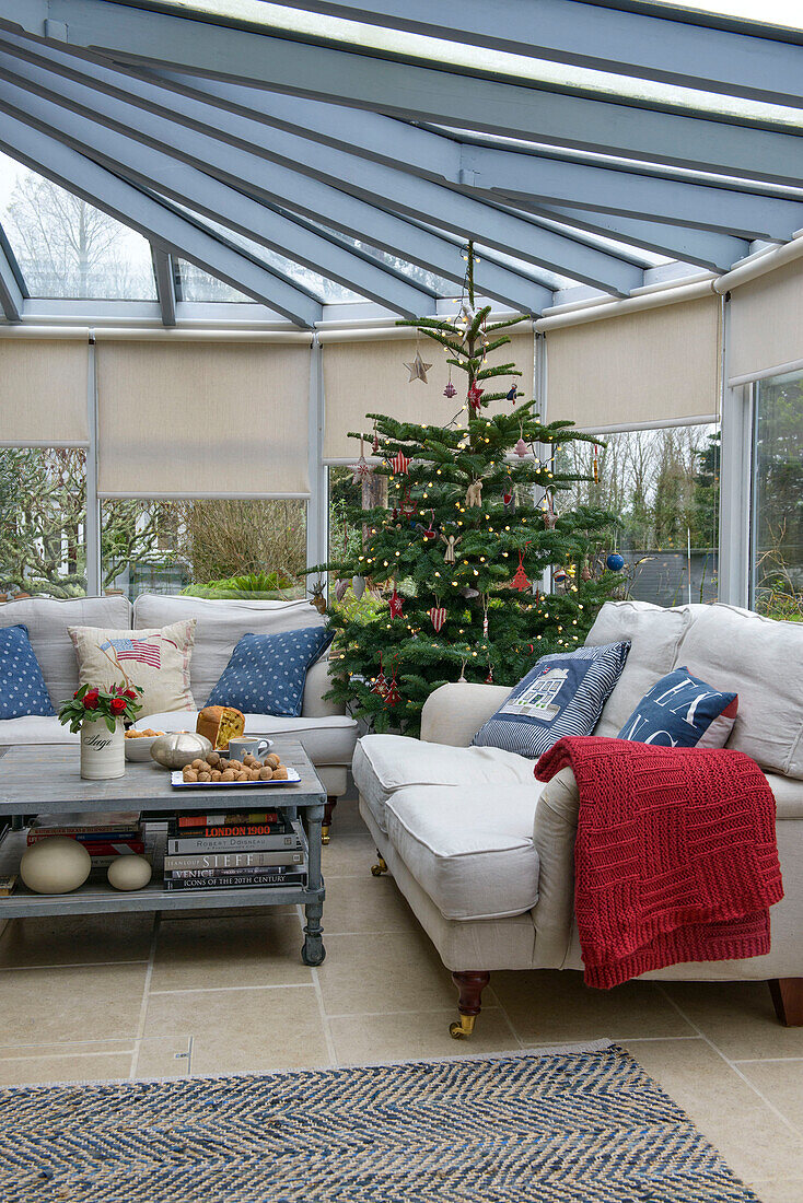 Weihnachtsbaum im erweiterten Wintergarten eines Bauernhauses in Penzance, Cornwall UK