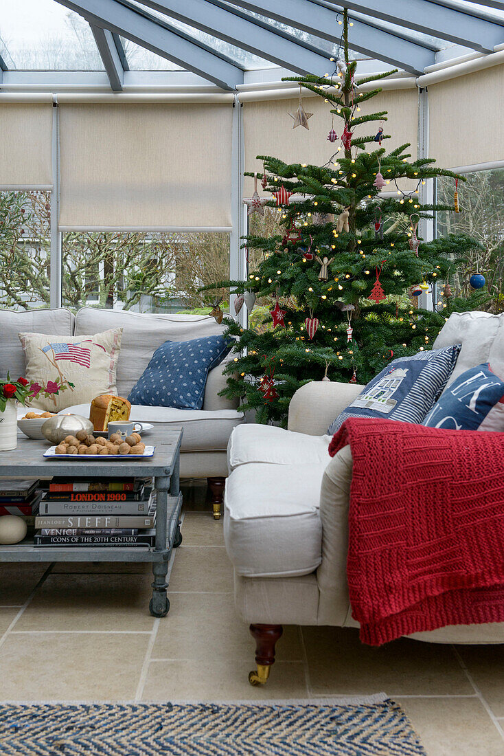 Weihnachtsbaum im erweiterten Wintergarten eines Bauernhauses in Penzance, Cornwall UK