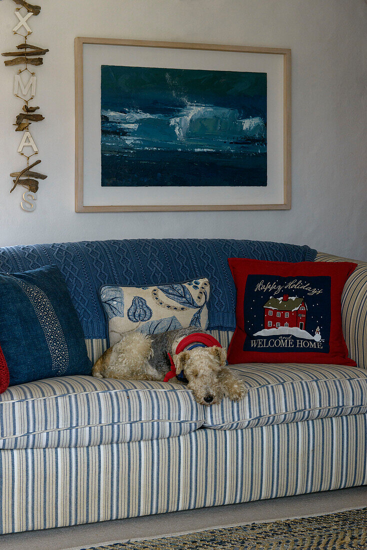 Hund auf gestreiftem Sofa mit blauer Decke unter einem gerahmten Kunstwerk in einem Bauernhaus in Penzance, Cornwall, Großbritannien
