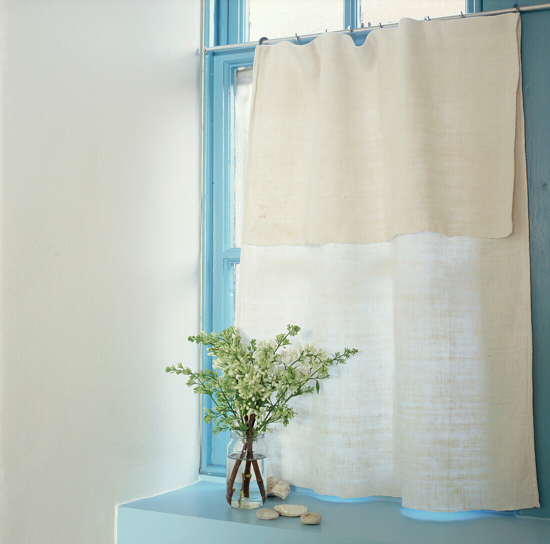 Still life with white flowers in front of linen curtain and colourful blue painted window frame 