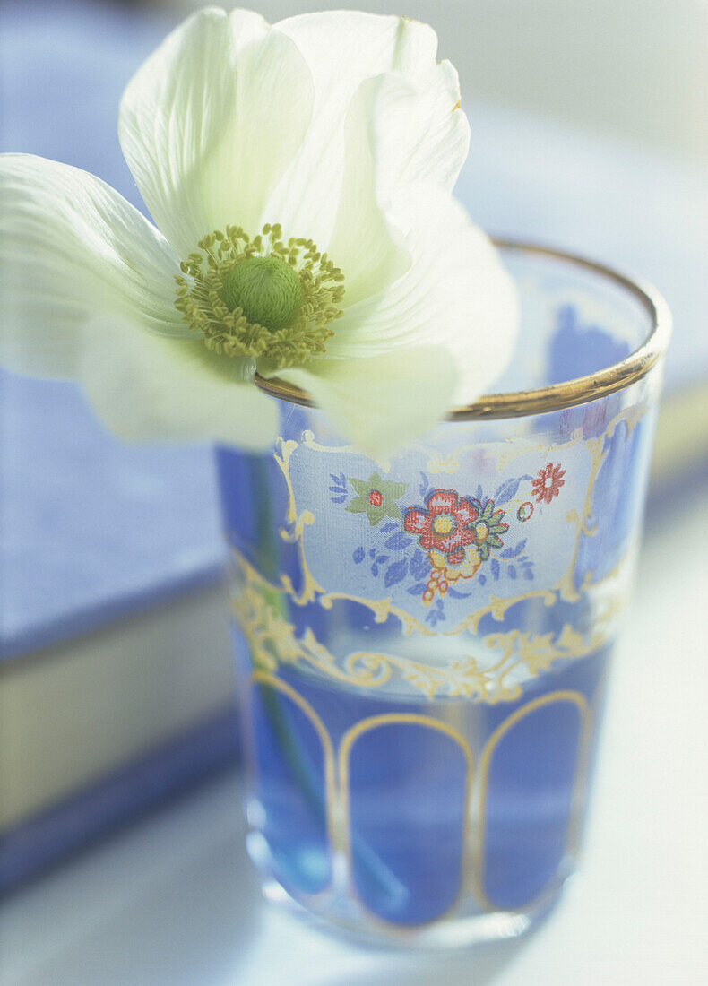 Weiße Blume in dekoriertem Glas
