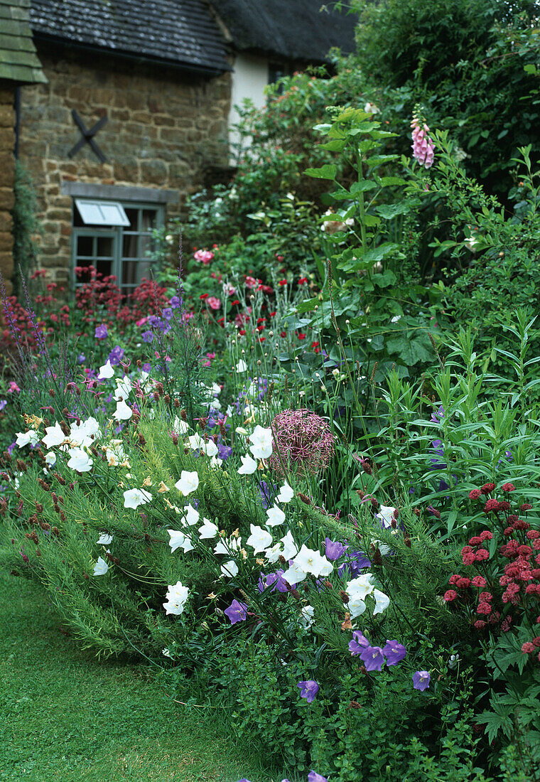 Gartensitzplatz mit blühenden Blumen