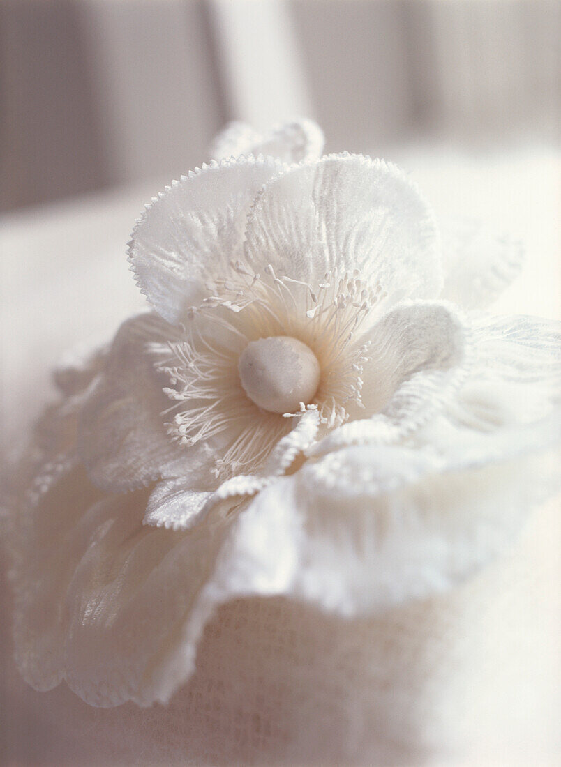 Weiße Stoffblume auf weißer Mohair-Decke