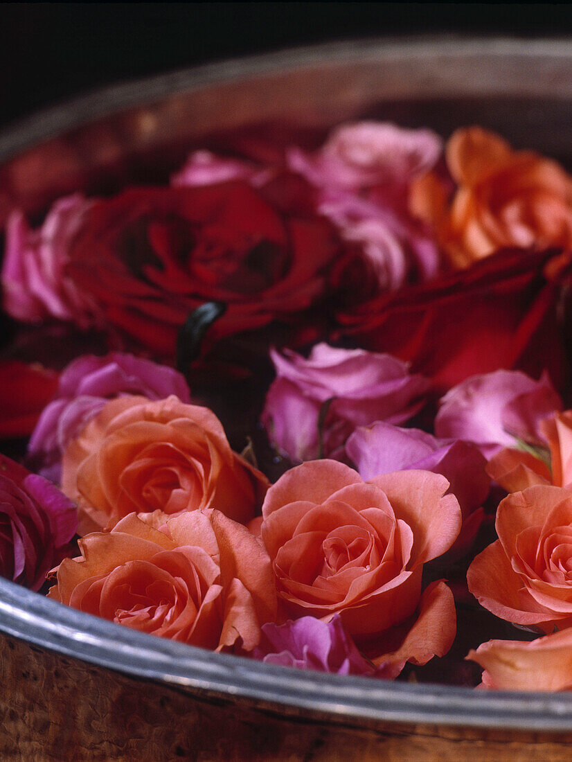 Roses floating in bowl