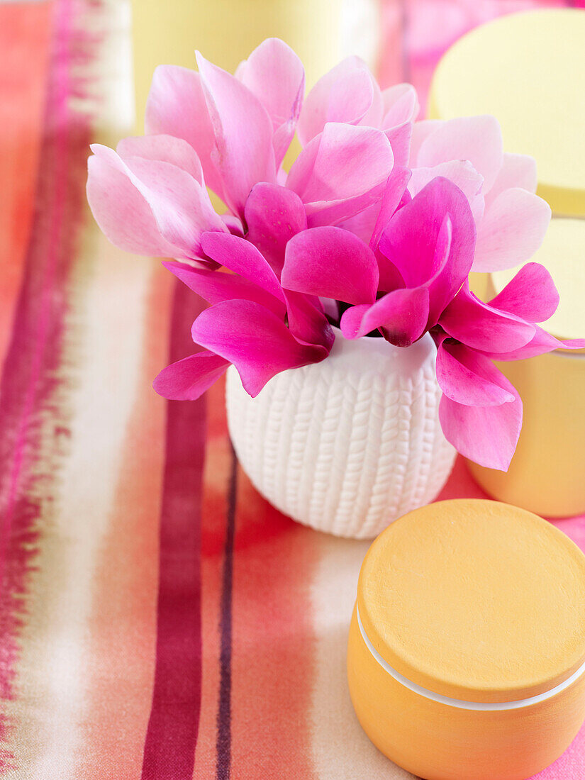 Pinkfarbene Magnolie und gelber Vorratstopf mit Deckel