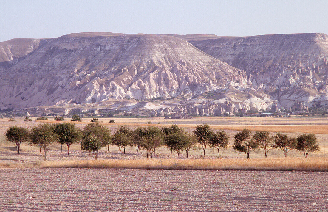 Arable lands of the Zelve Valley near Goreme in Cappadocia