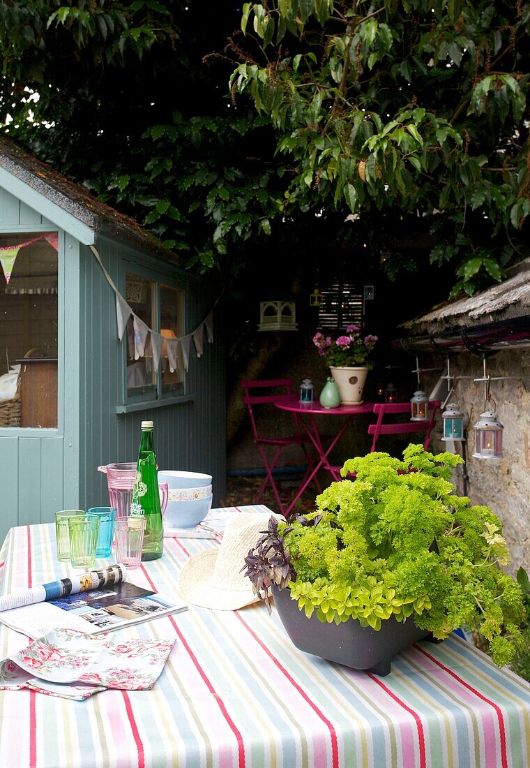 Getränke auf einem Tisch in einem Cottage-Garten mit Fähnchen auf einem Schuppen, Corfe Castle, Dorset, England, UK