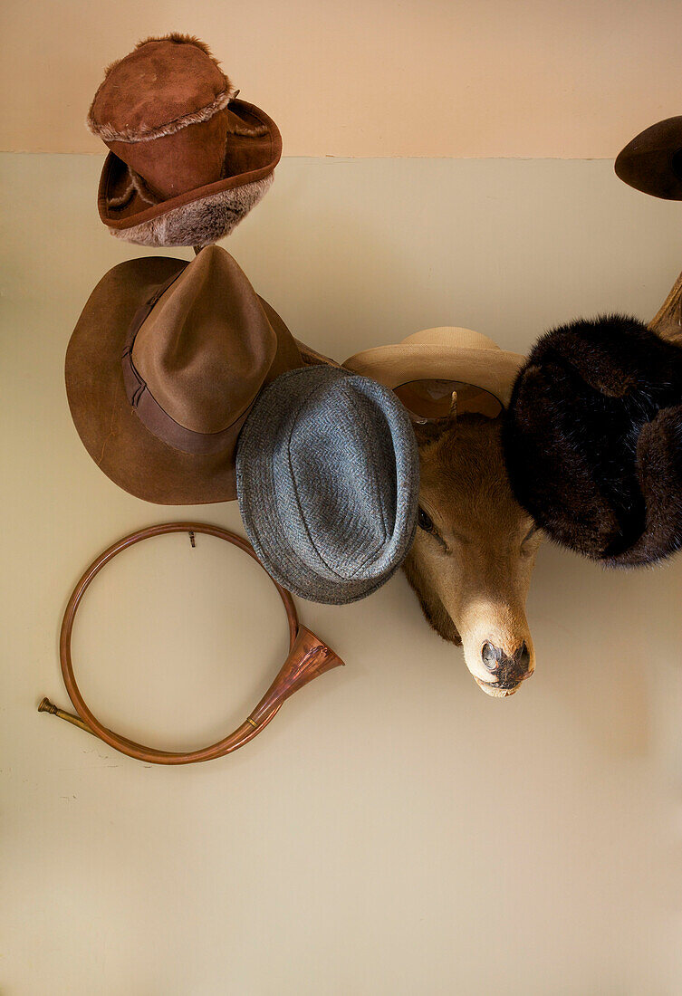 Variety of hats on mounted animal head in hallway of Etchingham farmhouse East Sussex England UK