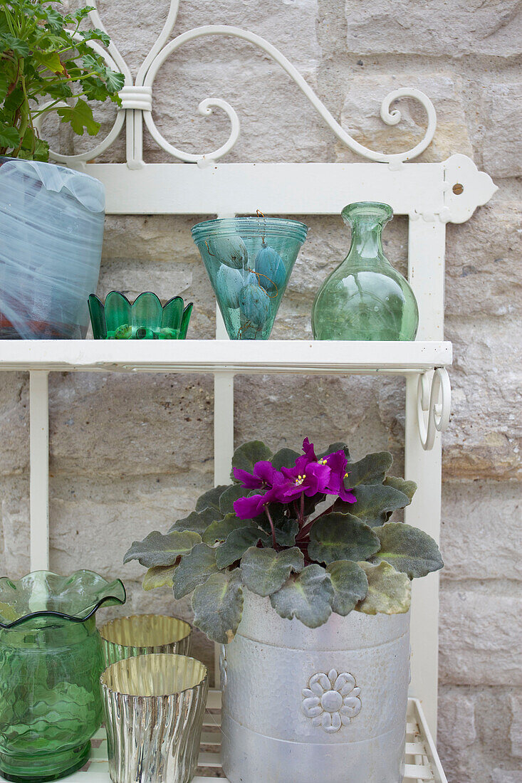 Zimmerpflanzen und Glaswaren auf einem Regal in Worth Matravers Cottage Dorset England UK